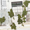 PlusMinus PET Tape: [Re:collection]