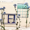 PlusMinus PET Tape: [Re:collection]