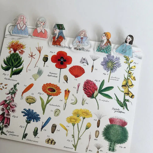 La Dolce Vita Acrylic Clip: A slow journey