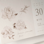 Freckles Tea Dateless Calendar