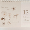 Freckles Tea Dateless Calendar