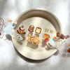Pion PET Tape: Candy