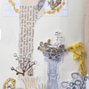 misshoegg PET Tape - Melodies of Flowers