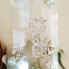misshoegg PET Tape - Little Era Materials
