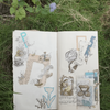 misshoegg PET Tape - Melodies of Flowers