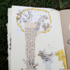 misshoegg PET Tape - Melodies of Flowers