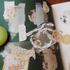 misshoegg PET Tape - Little Era Materials