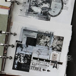 LCN PET Tape - Journey Vol.2