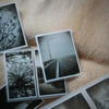 LCN PET Tape - Journey Vol.2