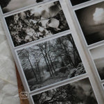 LCN PET Tape - Journey Vol.2
