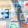 KITTA Special - KITPPO03 Photo