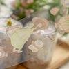 shō Little Happiness PET Tape - Let's Go Picnic