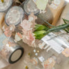 shō Little Happiness PET Tape - Let's Go Picnic