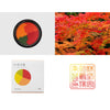 Shachihata Limited Edition Mixed Colour Ink Pad