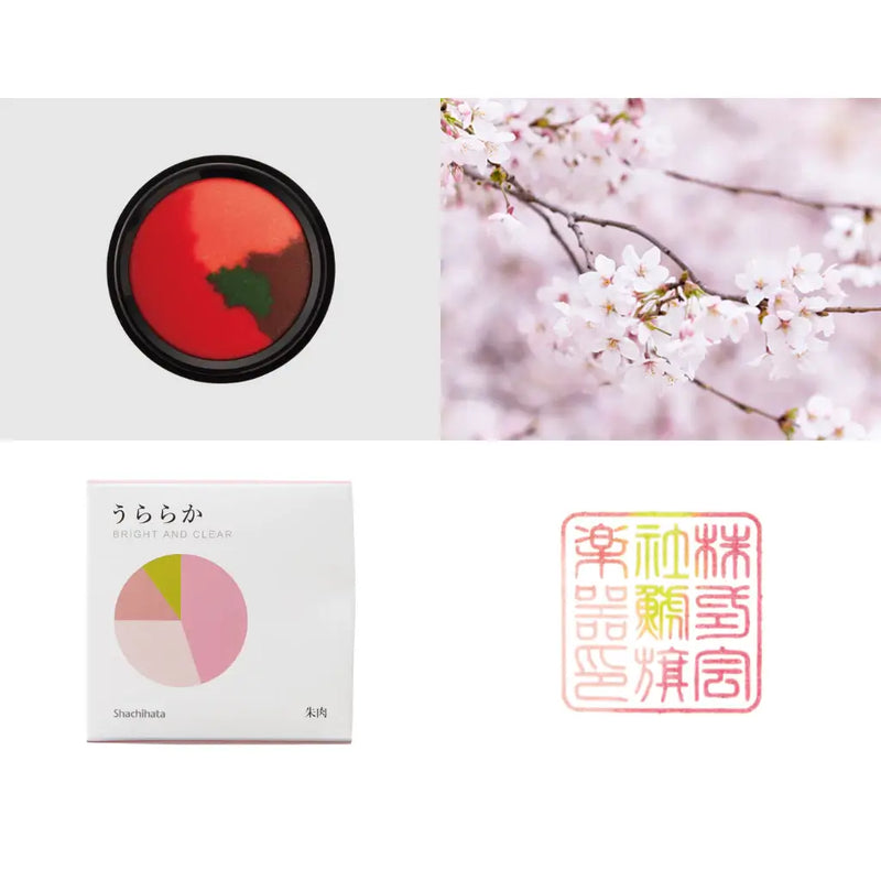 Shachihata Limited Edition Mixed Colour Ink Pad