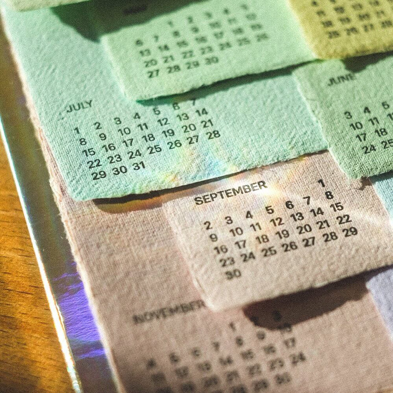 Paper Swatch Calendar 2024
