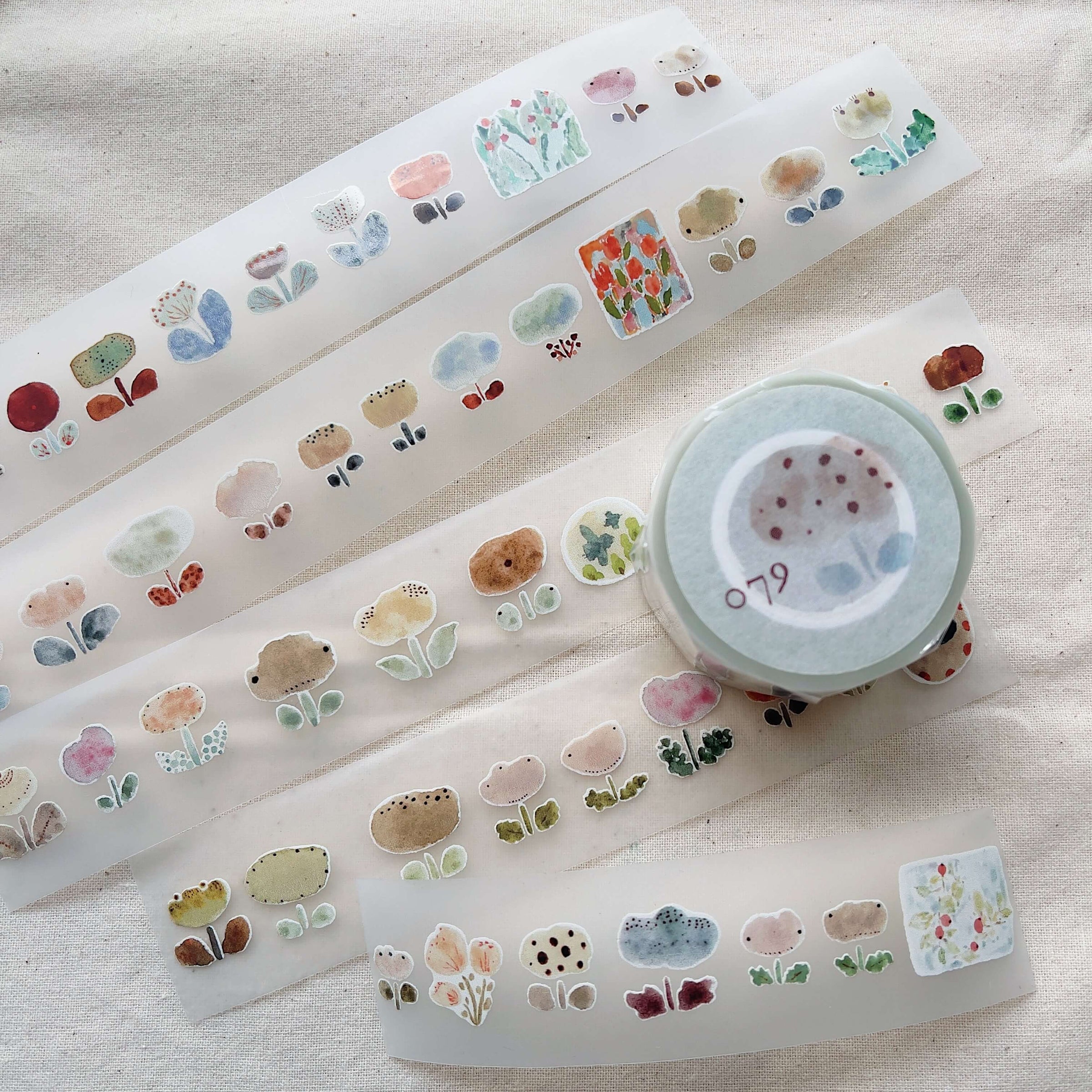 1 5cm 2m Fruit And Meat Lot Pet Transparent Washi Tape Set - Temu