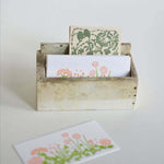 Classiky Paper Product Sample Pack Bundle