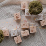 bighands Rubber Stamp Collection - Wander Rabbit