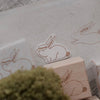 bighands Rubber Stamp Collection - Wander Rabbit