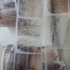 PlusMinus PET Tape: Words