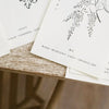 Gentle Plants Calendar 2024 植物溫柔曆 - Sample Pack