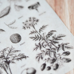 MU Print-On Sticker - Botanical Series II