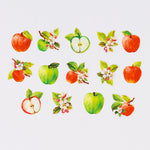 Bande Sticker Washi Tapes (Autumn Series) - Apple