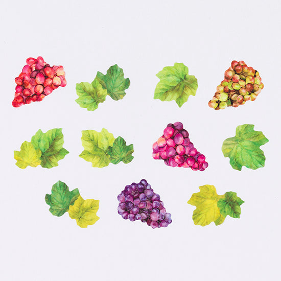 Bande Sticker Washi Tapes (Autumn Series) - Grapes