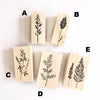 OHS Botanical Rubber Stamp Collection