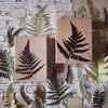 LCN Rubber Stamp Set - Fern Specimen