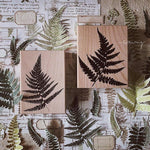 LCN Rubber Stamp Set - Fern Specimen