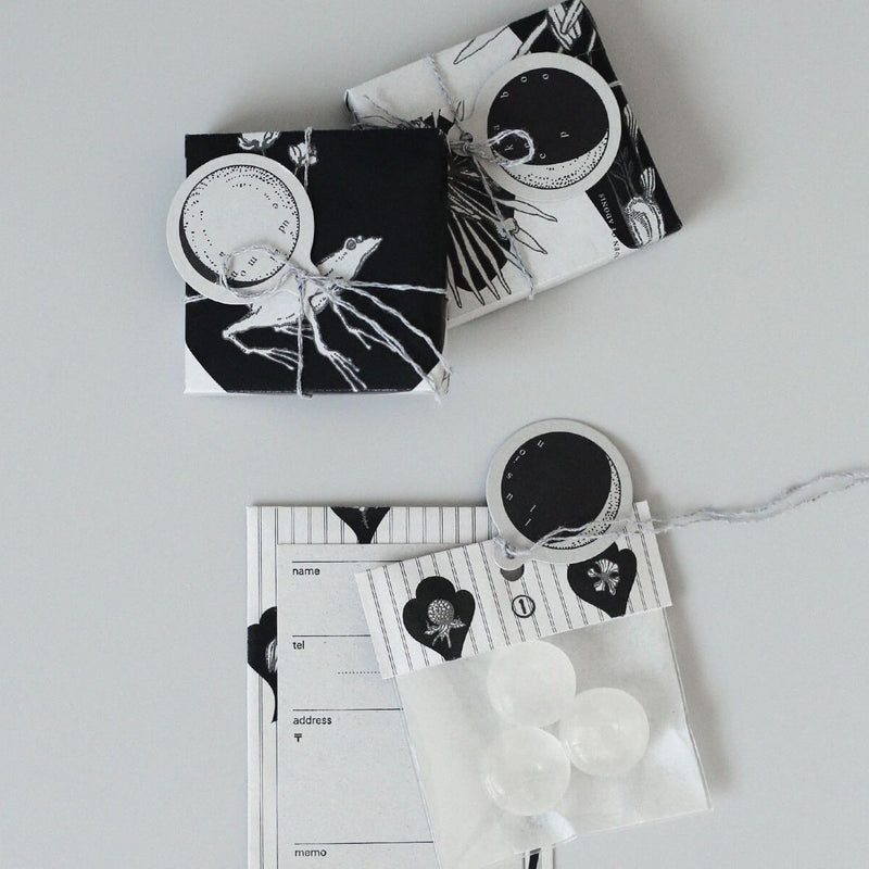 Moon Phases Gift Card Set