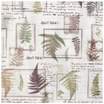 LCN Rubber Stamp Set - Fern Specimen