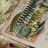 LCN Rubber Stamp Set - Fern Specimen