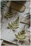 LCN Rubber Stamp Set - Fern Specimen