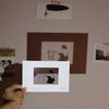 "Love Senses" Clear Film Postcards