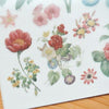 MU Print-On Sticker - Botanical Series III