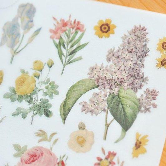 MU Print-On Sticker - Botanical Series III