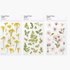 Press Flower Stickers Adiantum