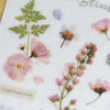 MU Print-On Sticker - Botanical Series VII