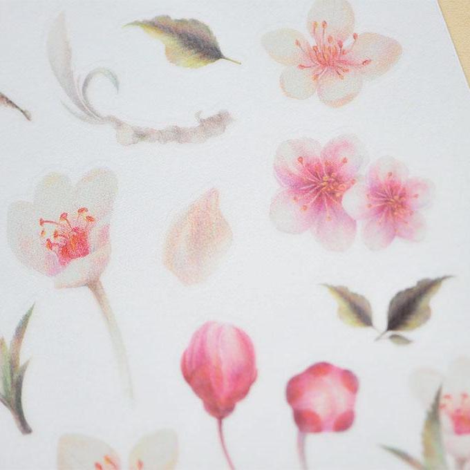 MU Print-On Sticker - Botanical Series V