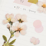 Press Flower Stickers Cherry Blosom