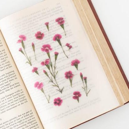 Press Flower Stickers China Pink