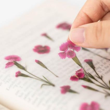 Press Flower Stickers China Pink