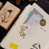 OURS Dandelion Rubber Stamp