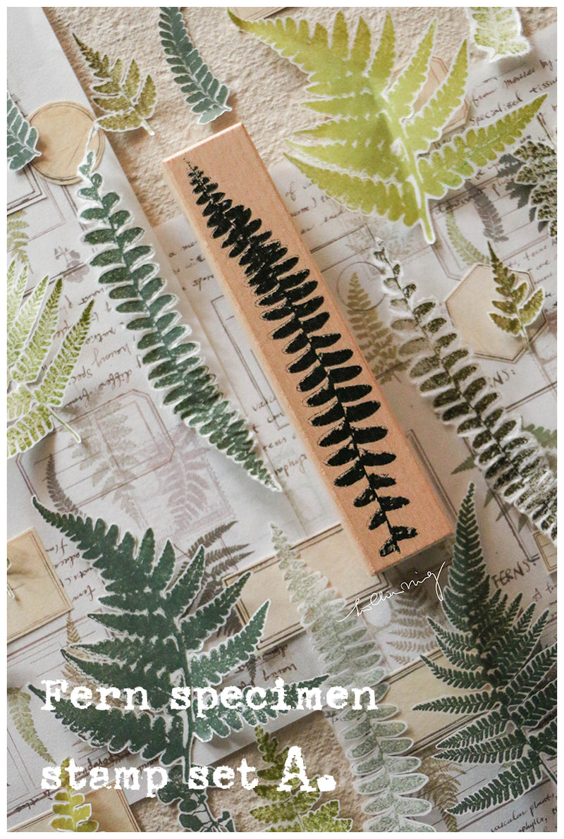 LCN Rubber Stamp Set - Fern Specimen