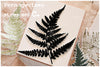 LCN Rubber Stamp Set - Fern Specimen