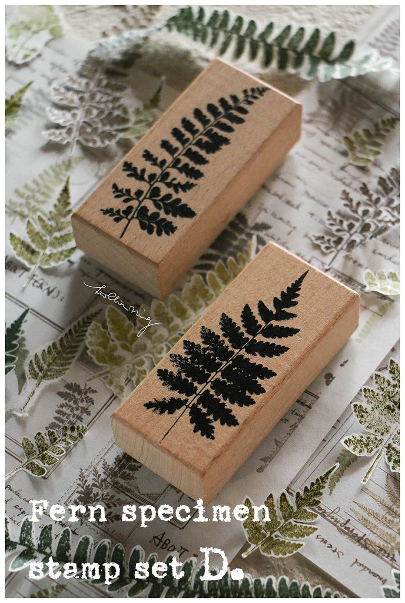 LCN Rubber Stamp Set - Fern Specimen