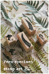 LCN Rubber Stamp Set - Fern Specimen